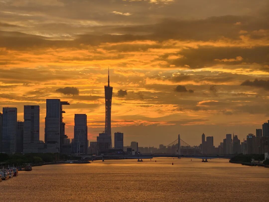 1758788342218012705.jpeg 1758788342218012705.jpeg