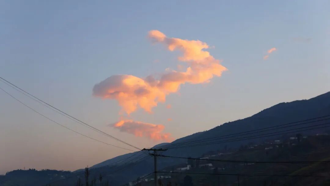 1758788454577029060.jpeg 1758788454577029060.jpeg