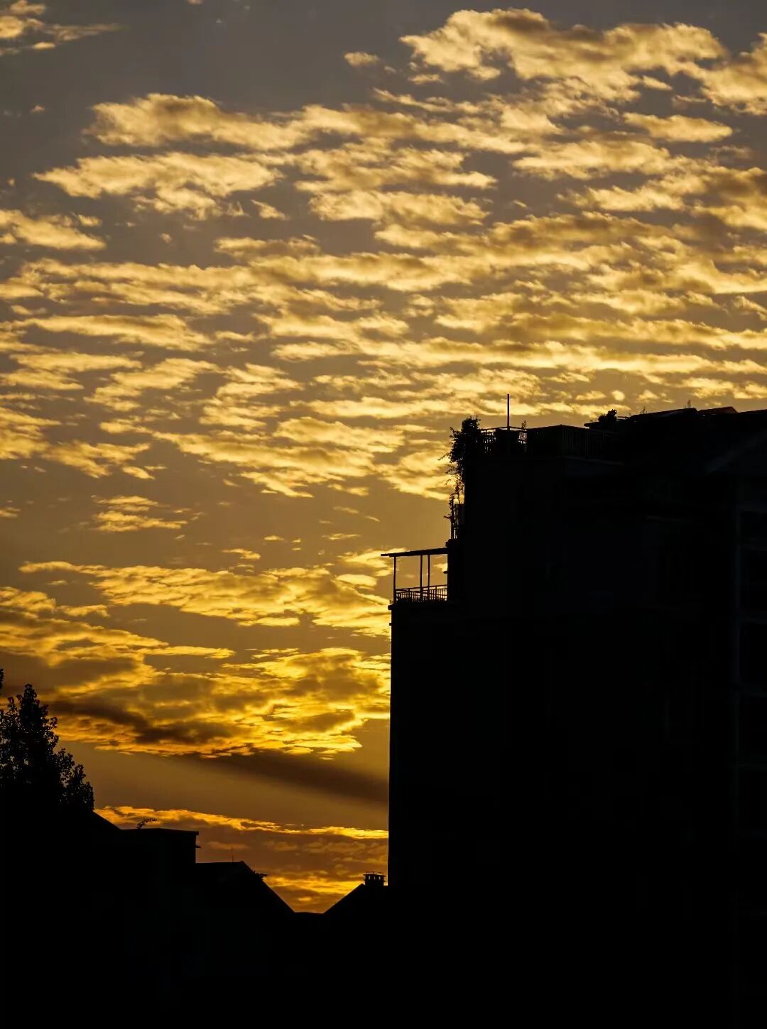 1758788731699073354.jpeg 1758788731699073354.jpeg