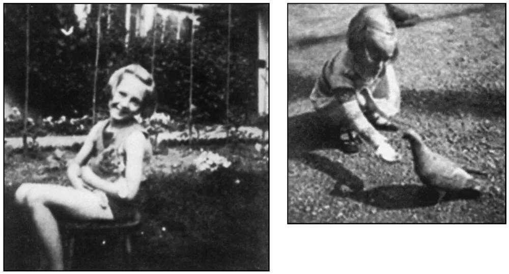 1759395683112022142.jpg 1759395683112022142.jpg