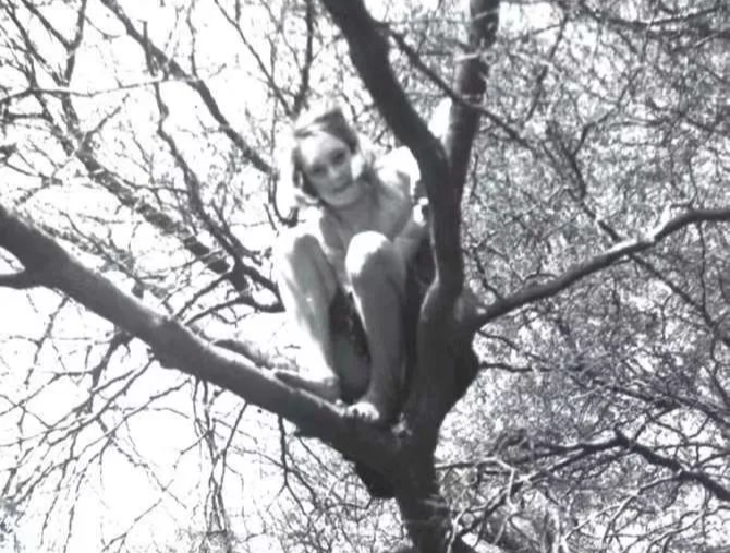 1759395721300013990.png 1759395721300013990.png