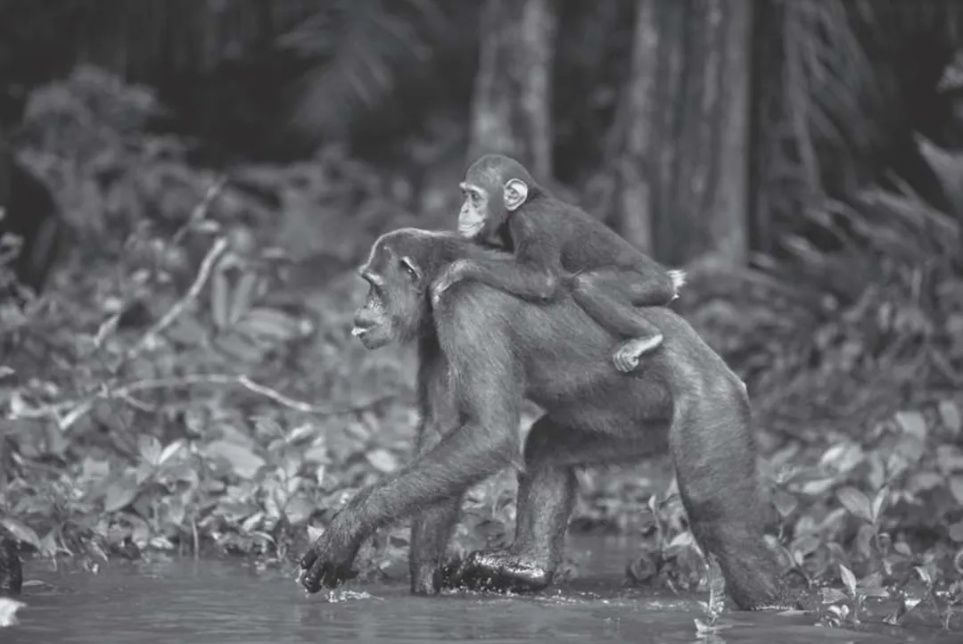 1759395759340047096.jpg 1759395759340047096.jpg