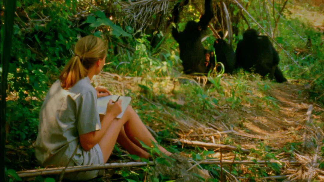 1759395921292077607.jpg 1759395921292077607.jpg