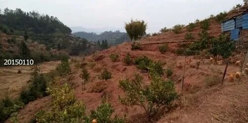 1762256512905032144.jpeg 1762256512905032144.jpeg