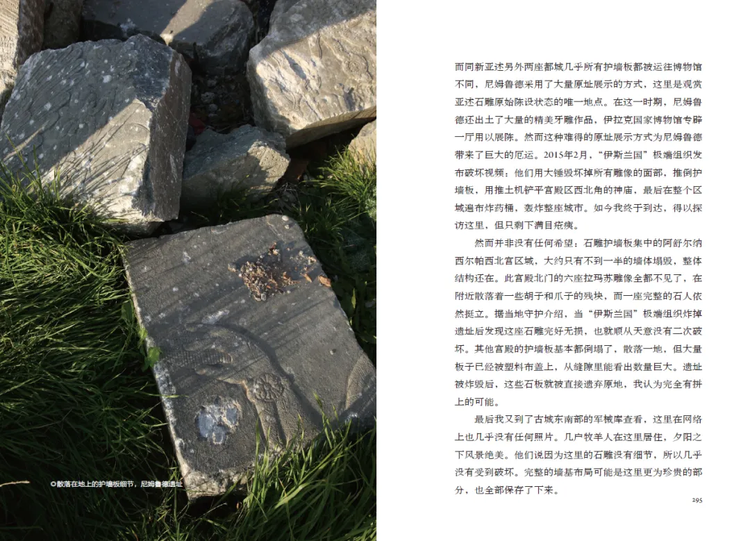 1764063304066018513.jpg 1764063304066018513.jpg