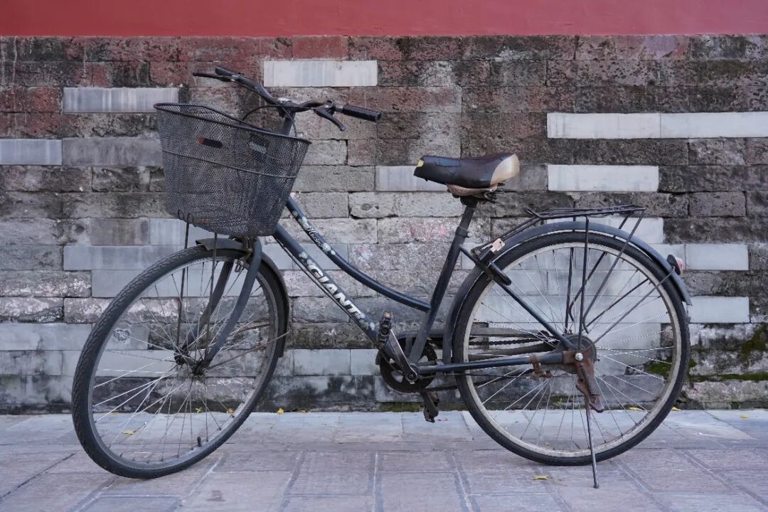 1764660819770052893.jpeg 1764660819770052893.jpeg