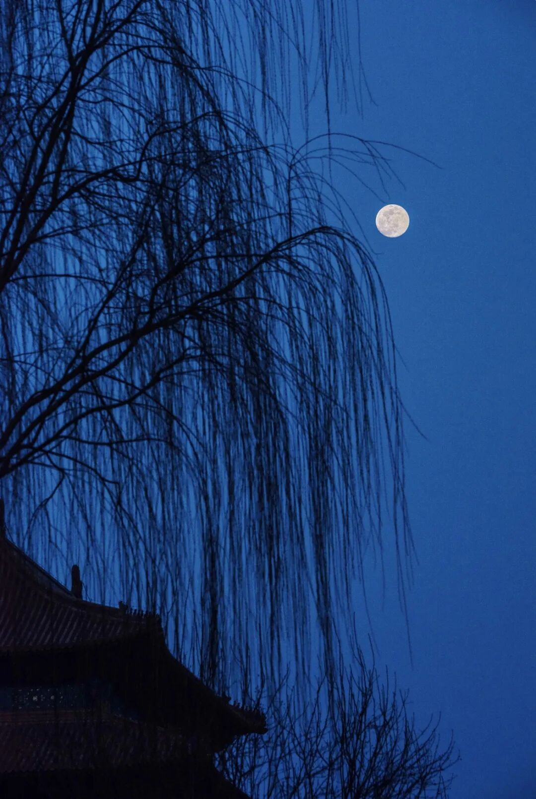 1764660942355056451.jpeg 1764660942355056451.jpeg