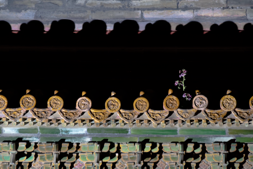 1764661021265060838.png 1764661021265060838.png