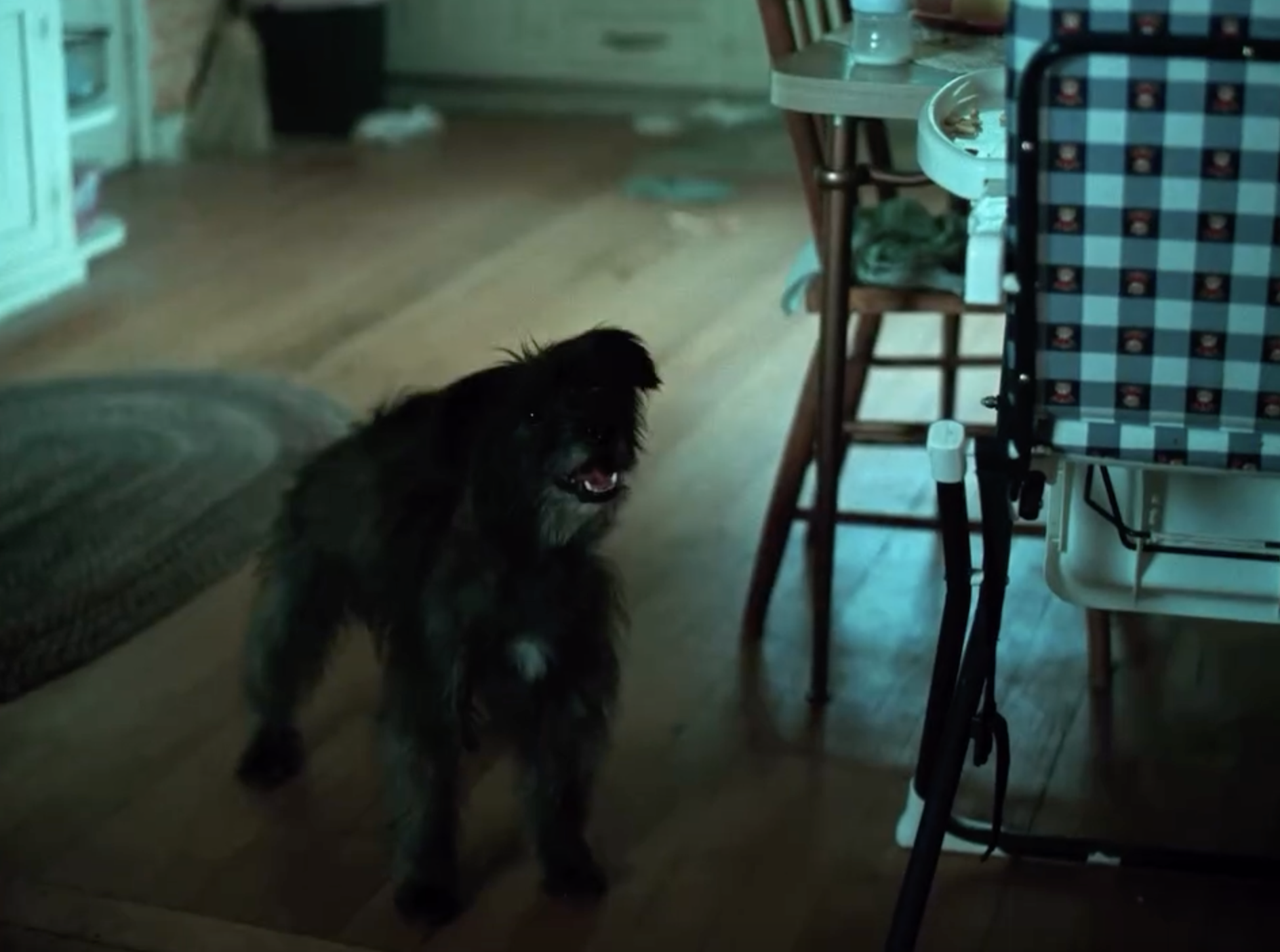 1771056182509031012.png 1771056182509031012.png