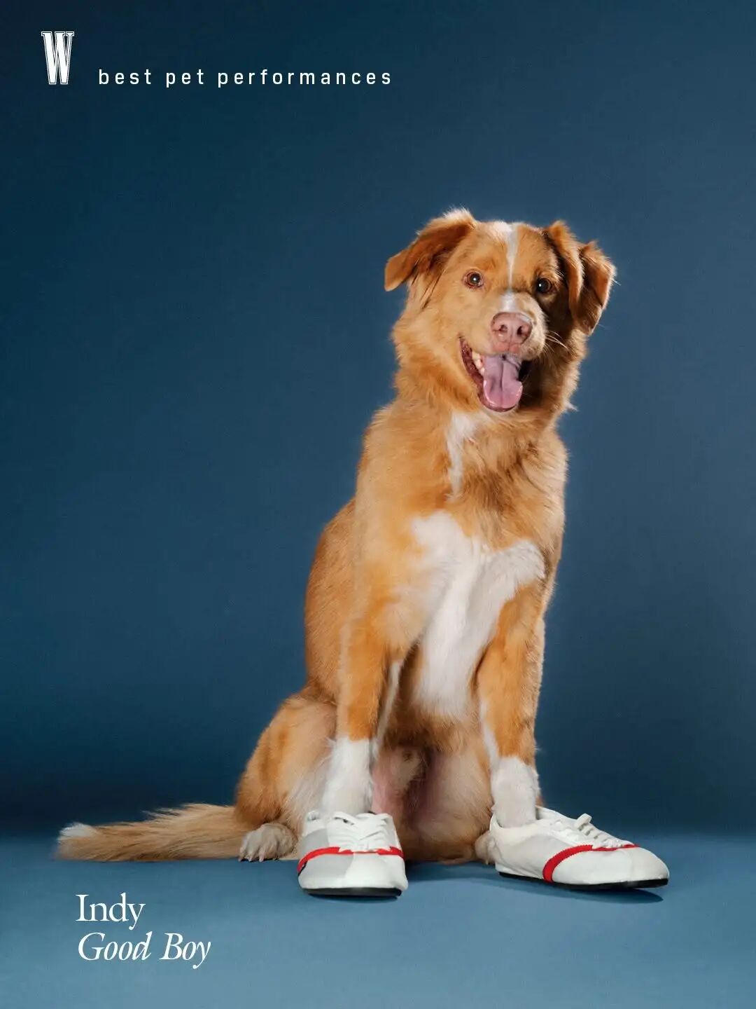 1771056214571074239.jpeg 1771056214571074239.jpeg