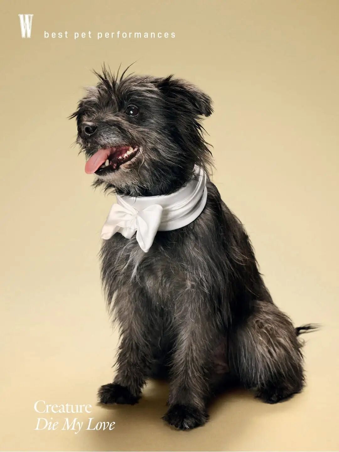 1771056275853084934.jpeg 1771056275853084934.jpeg