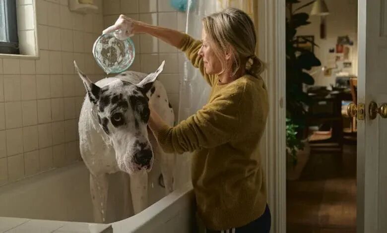 1771056304240095517.jpeg 1771056304240095517.jpeg