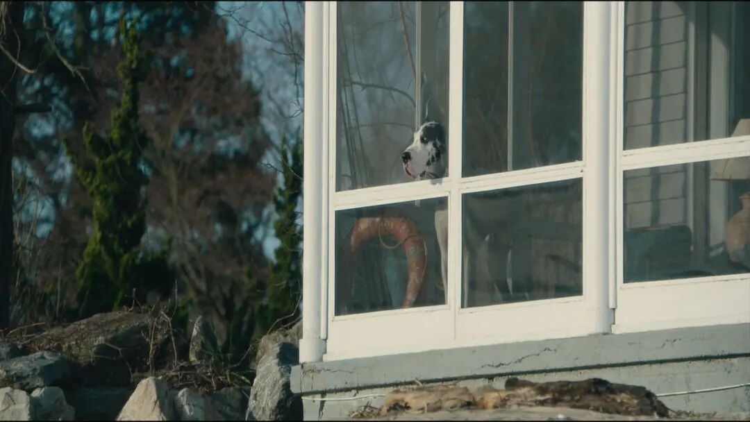 1771056314812062236.jpeg 1771056314812062236.jpeg