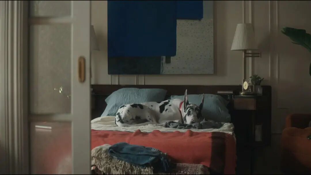 1771056329809033314.jpeg 1771056329809033314.jpeg