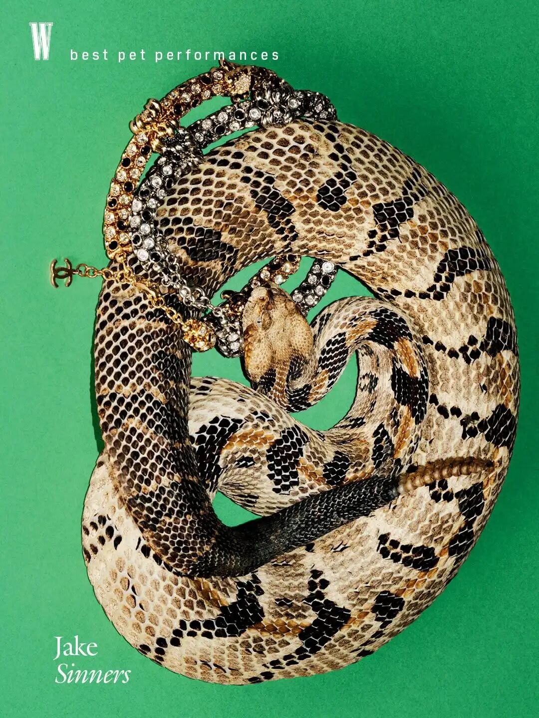 1771056357377052436.jpeg 1771056357377052436.jpeg