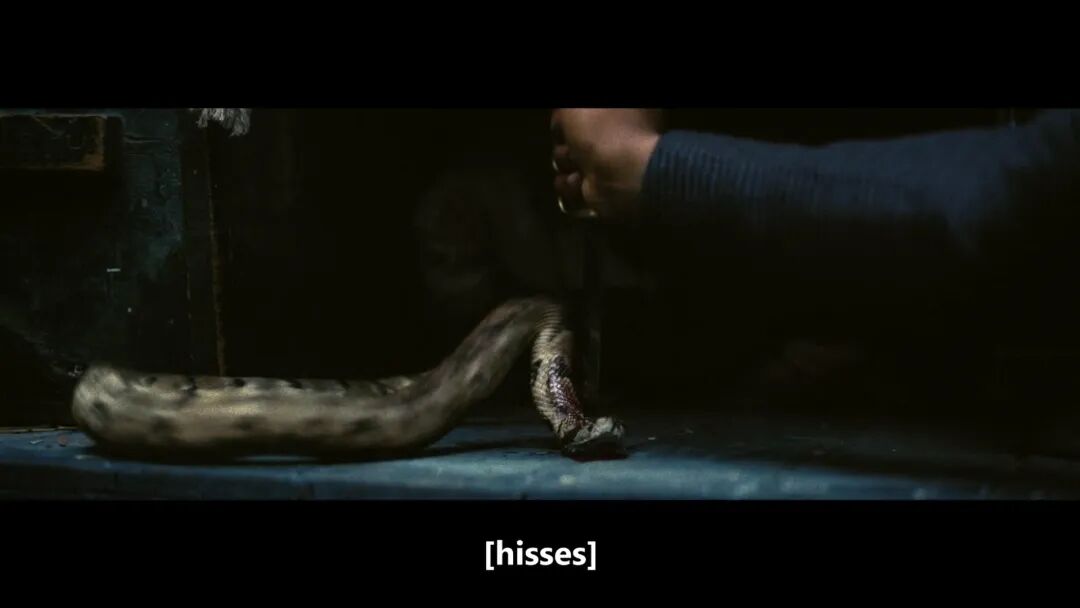 1771056382219050859.jpeg 1771056382219050859.jpeg