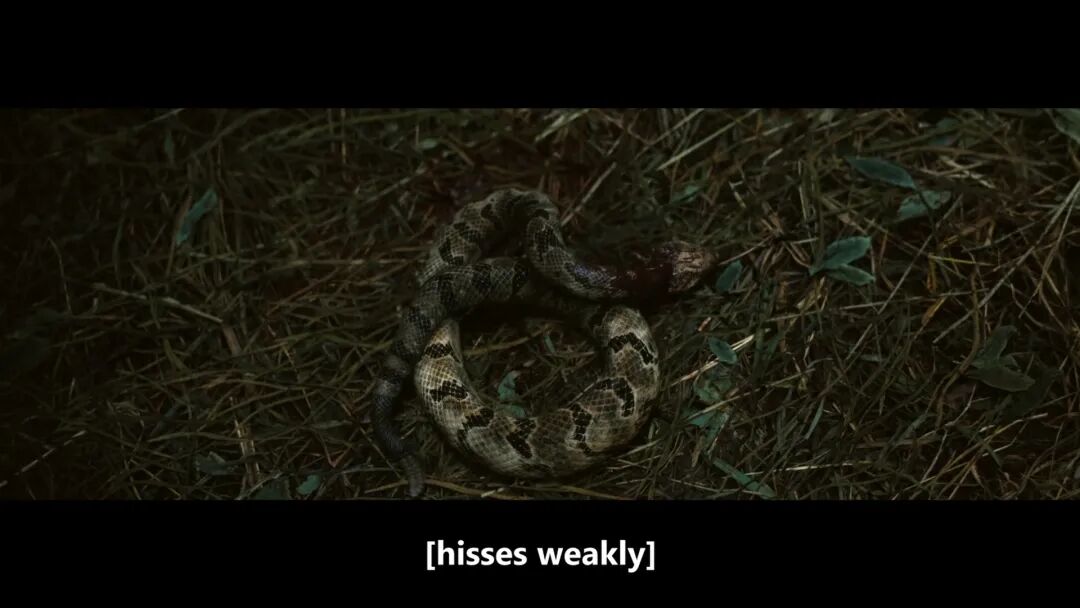 1771056393785055966.jpeg 1771056393785055966.jpeg