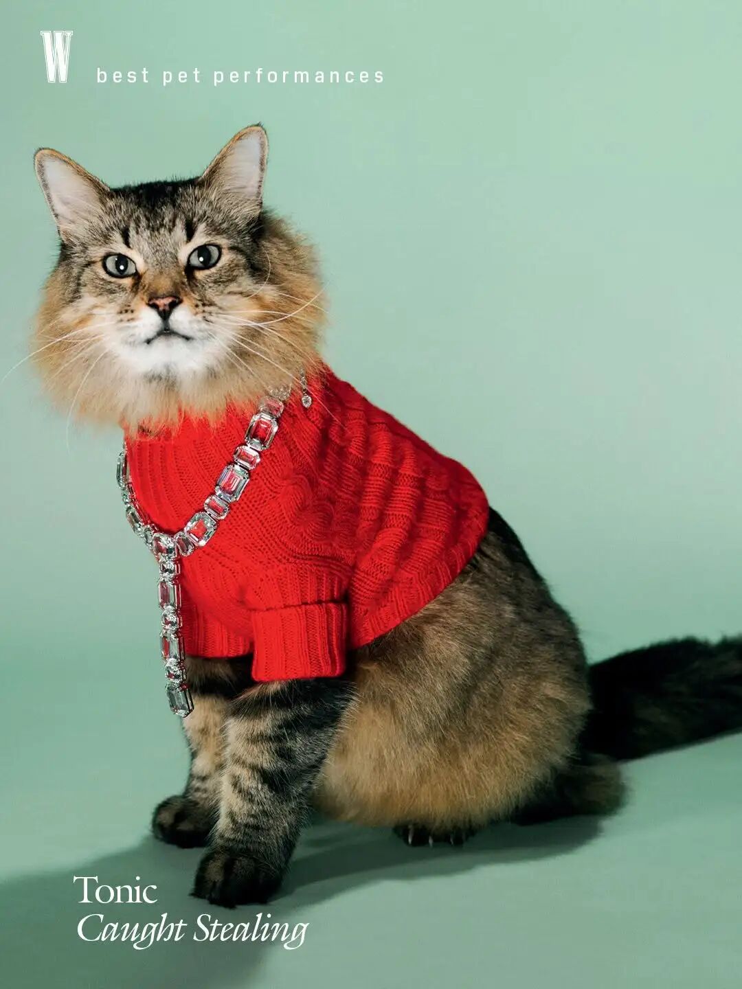 1771056407213009958.jpeg 1771056407213009958.jpeg