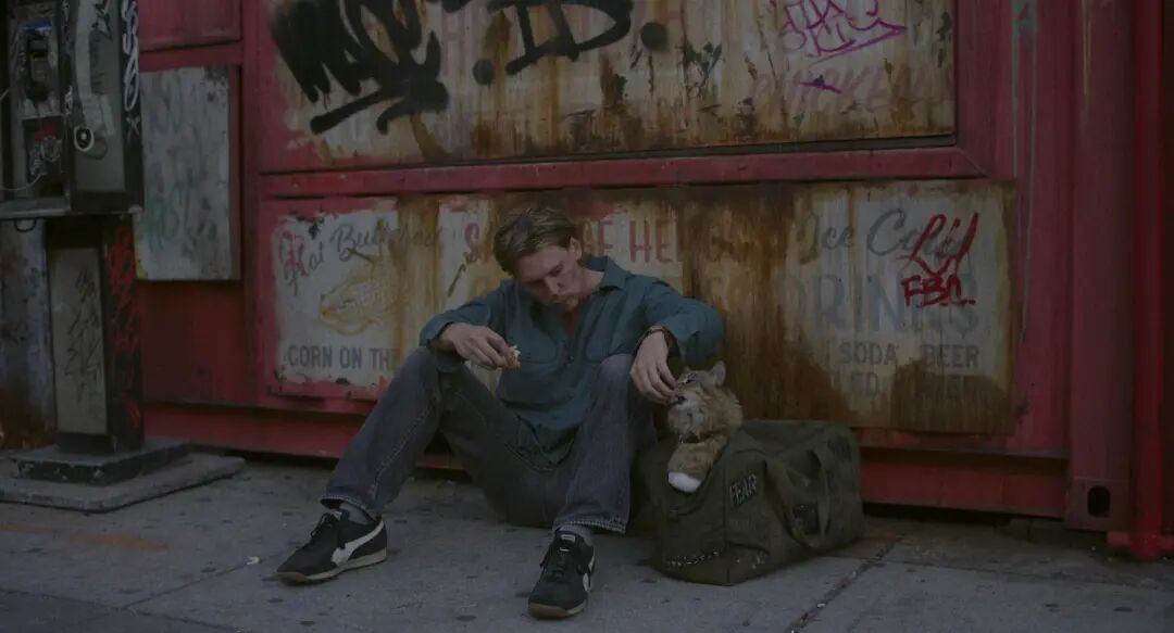 1771056443695082695.jpeg 1771056443695082695.jpeg