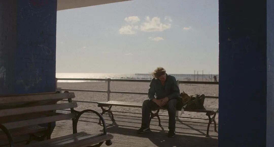 1771056454219071039.jpeg 1771056454219071039.jpeg