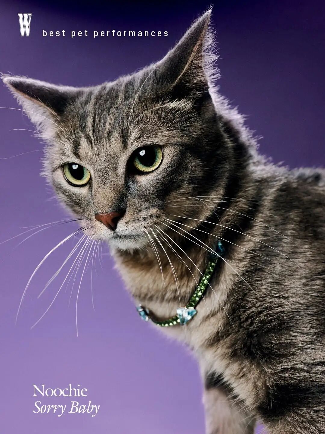 1771056466616006496.jpeg 1771056466616006496.jpeg