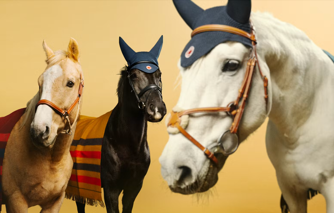 1771056504990085289.png 1771056504990085289.png