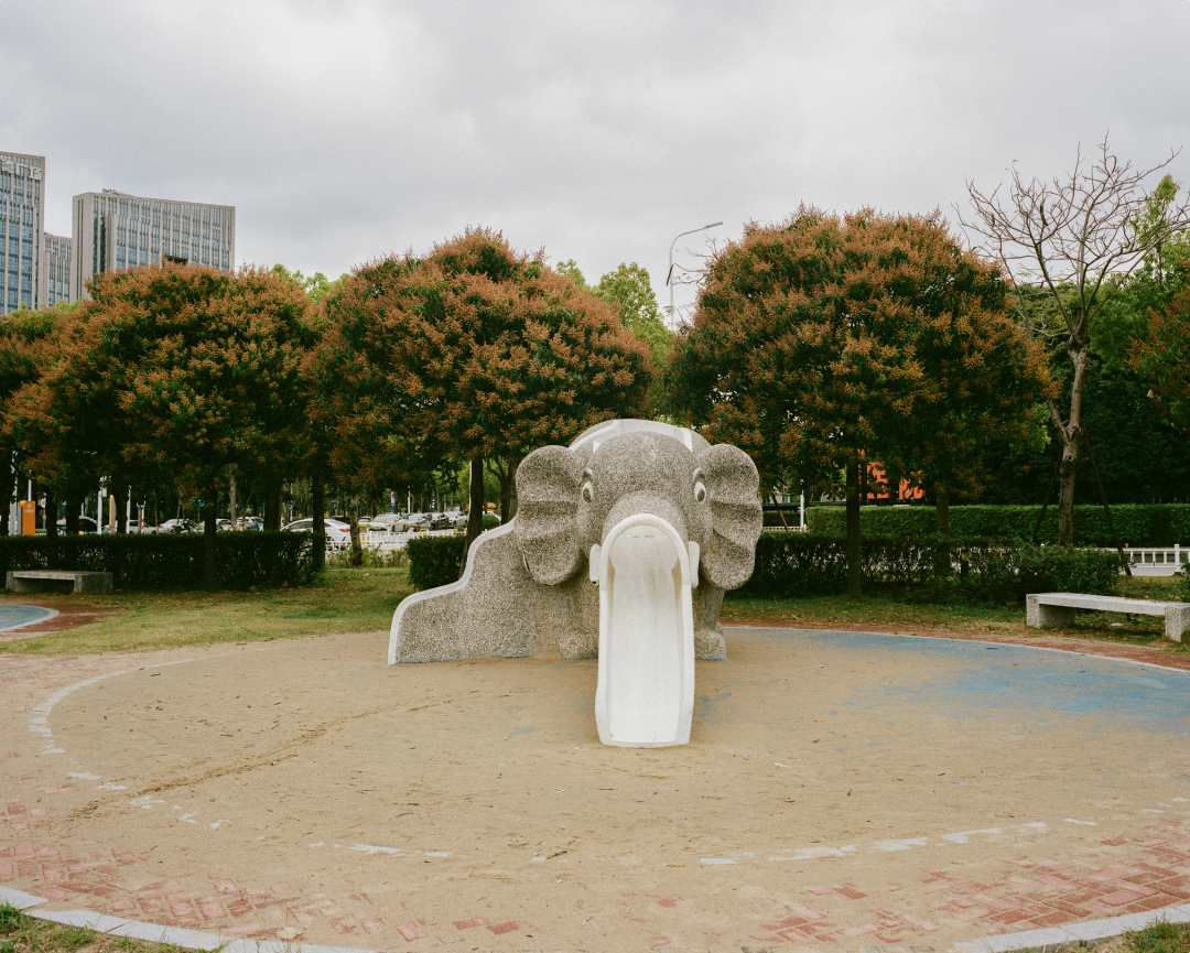 1772690374272062358.png 1772690374272062358.png