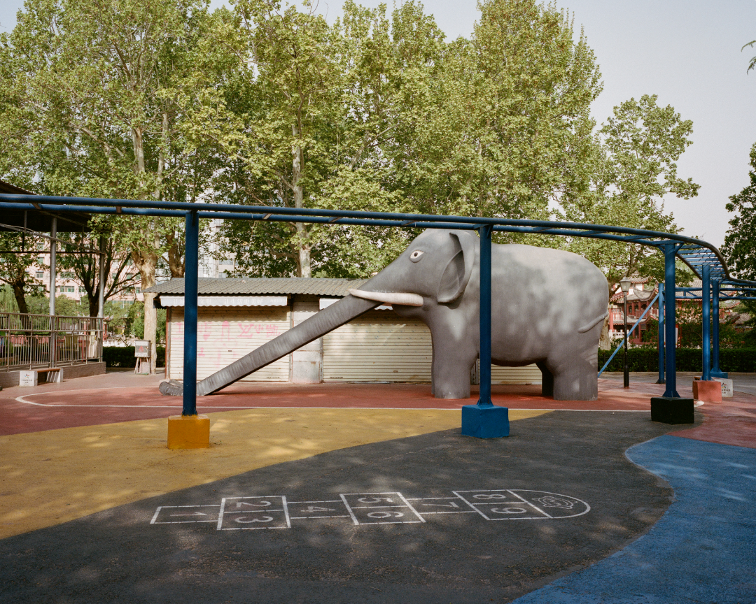 1772690400917038488.png 1772690400917038488.png