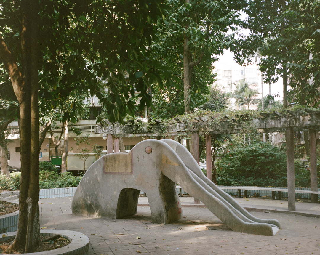 1772690519007065772.png 1772690519007065772.png