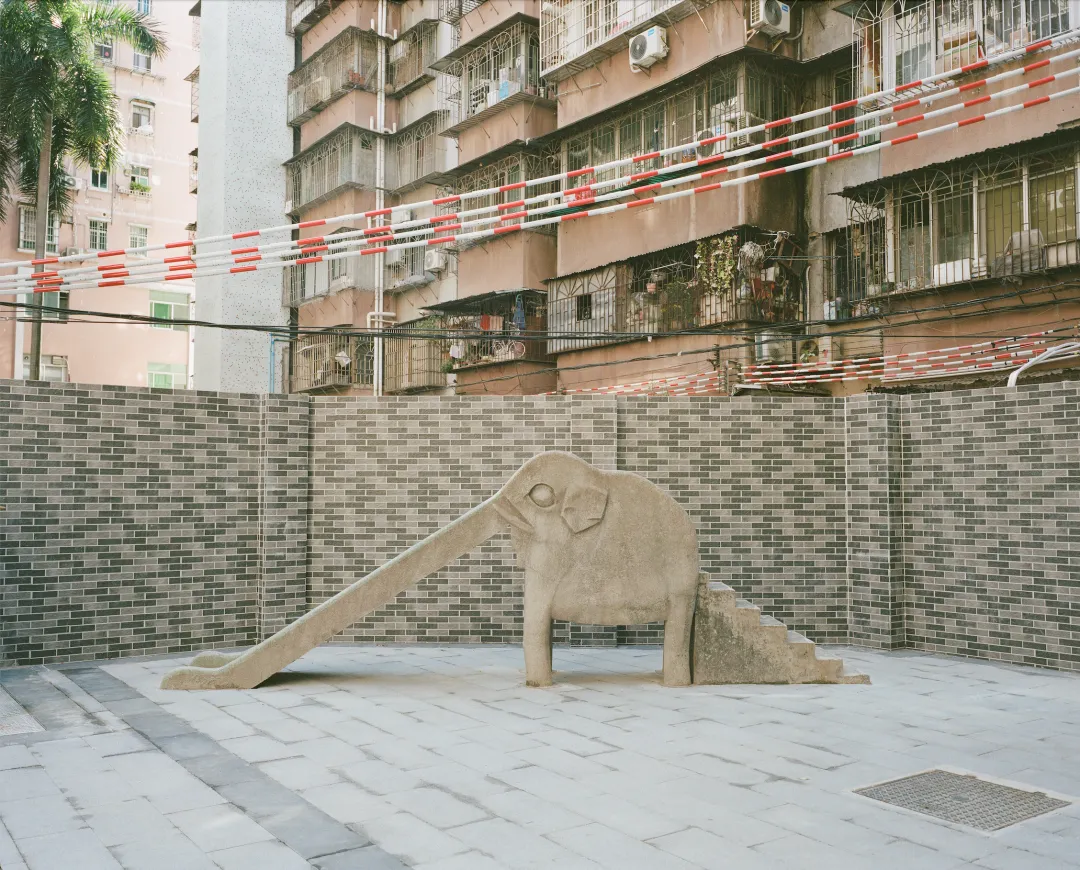 1772690564202058645.jpg 1772690564202058645.jpg