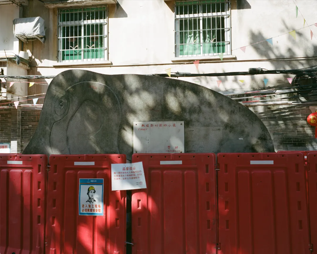 1772690596554054940.jpg 1772690596554054940.jpg