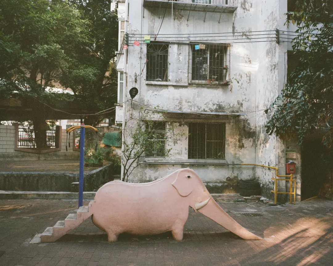 1772690614226084466.jpg 1772690614226084466.jpg