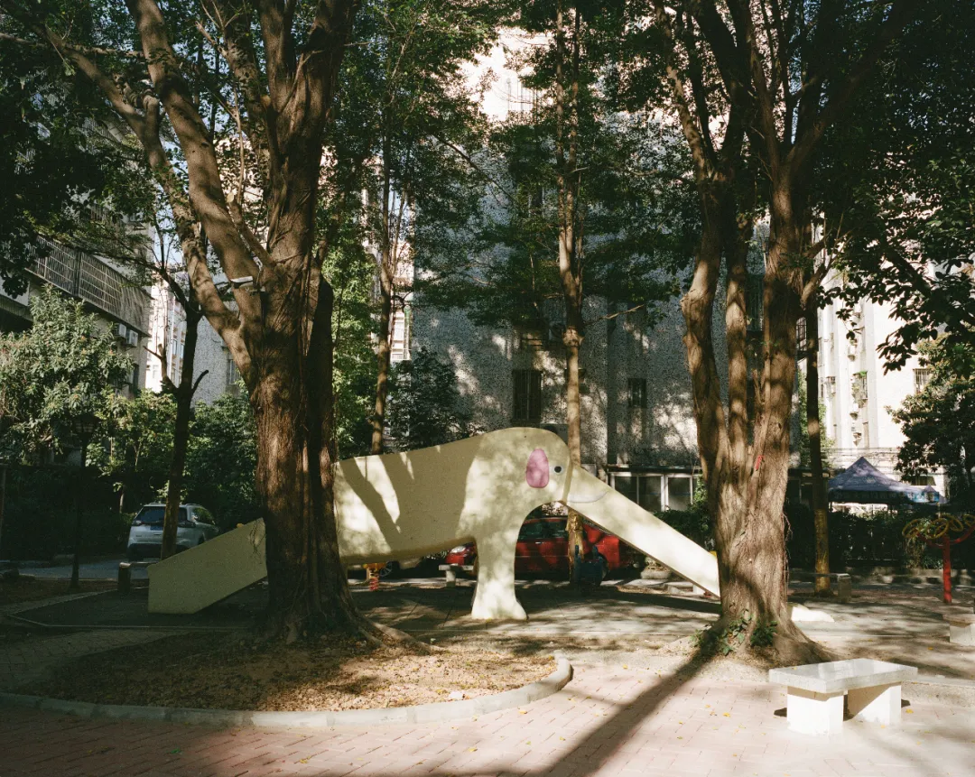 1772690643095058938.jpg 1772690643095058938.jpg