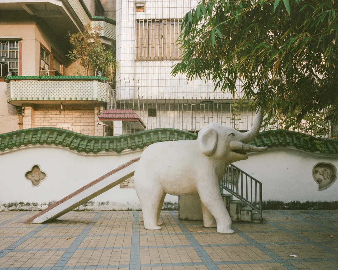 1772692526618076325.jpg 1772692526618076325.jpg