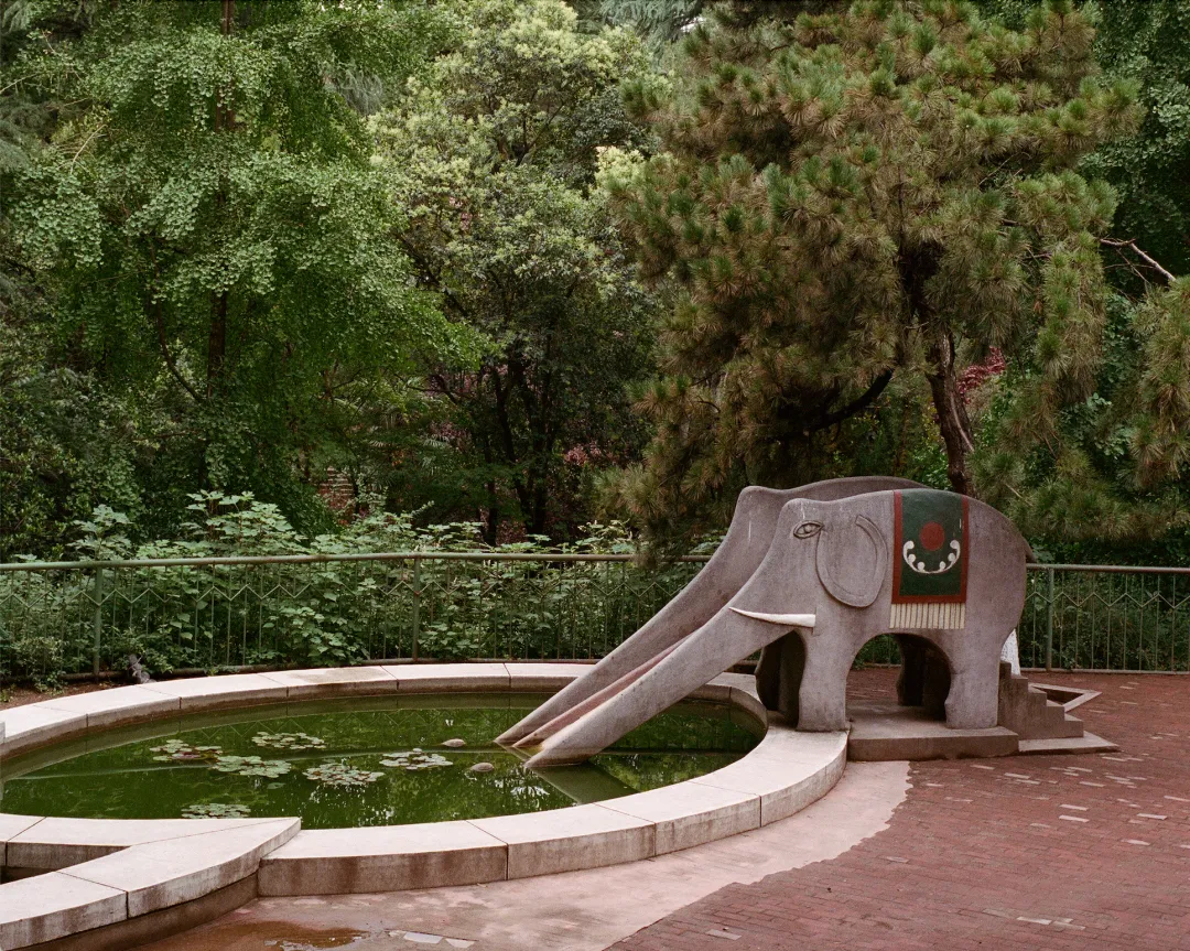 1772692599198091740.jpg 1772692599198091740.jpg