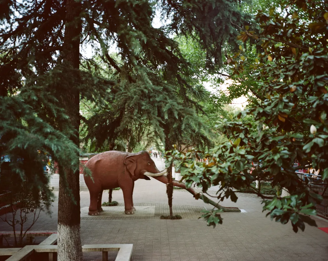 1772692626325062826.jpg 1772692626325062826.jpg