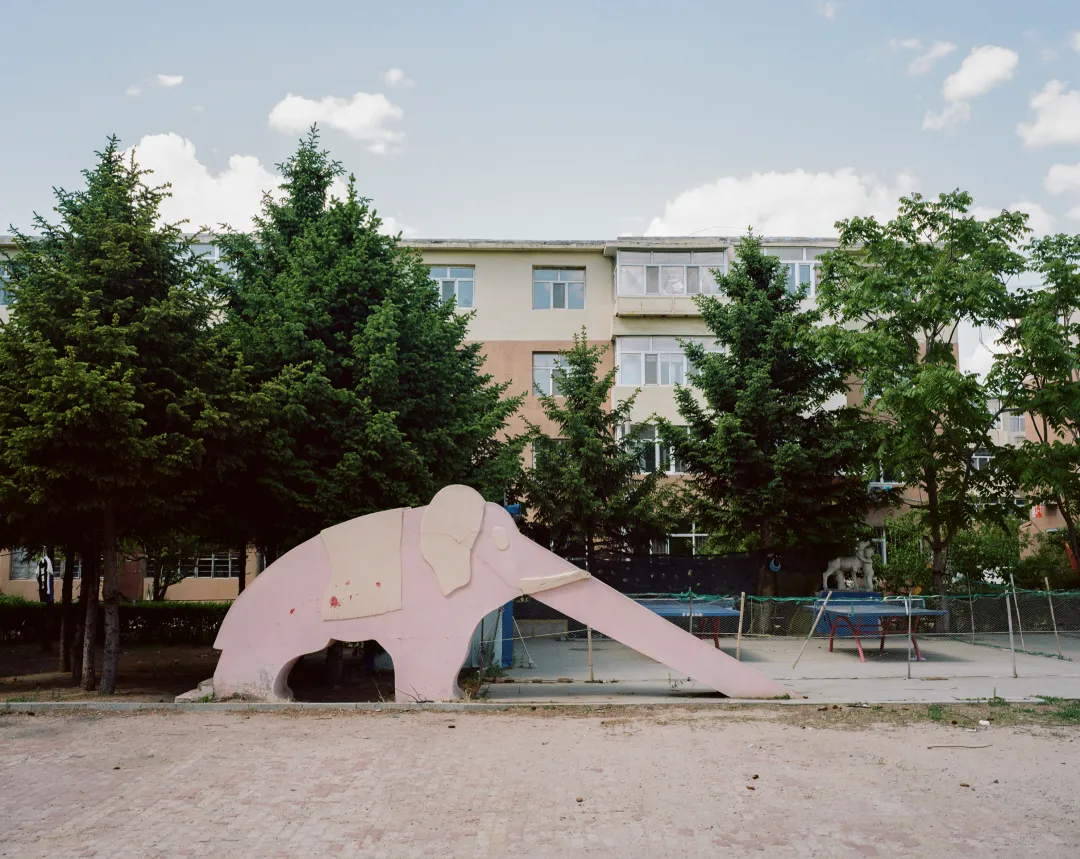 1772692647211023749.jpg 1772692647211023749.jpg