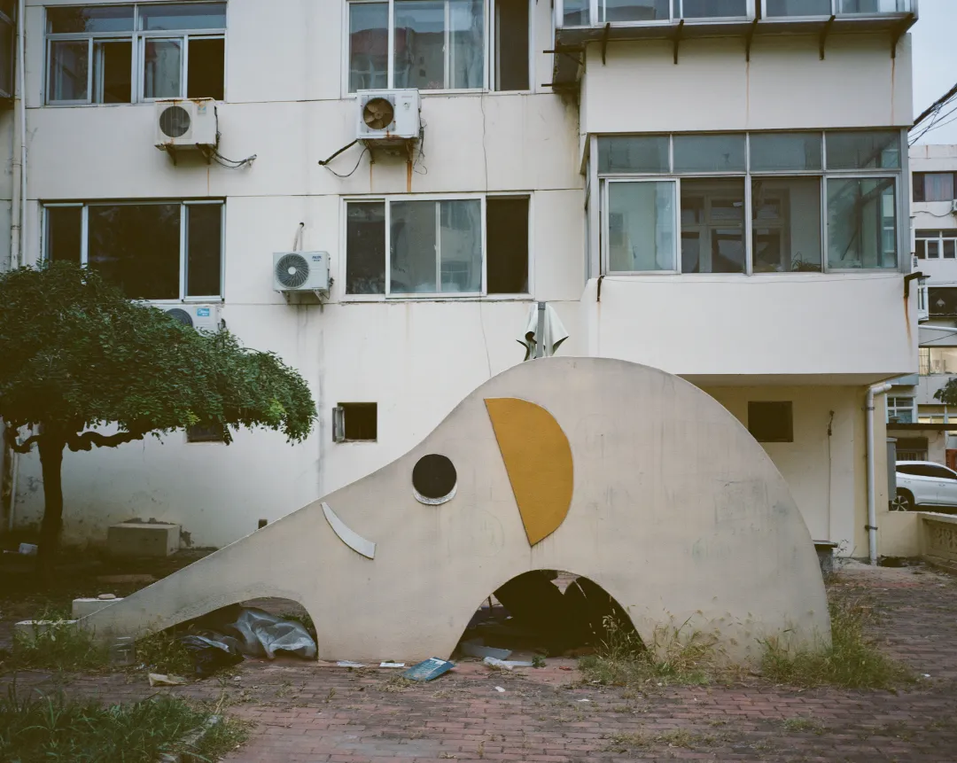 1772692668928079981.jpg 1772692668928079981.jpg