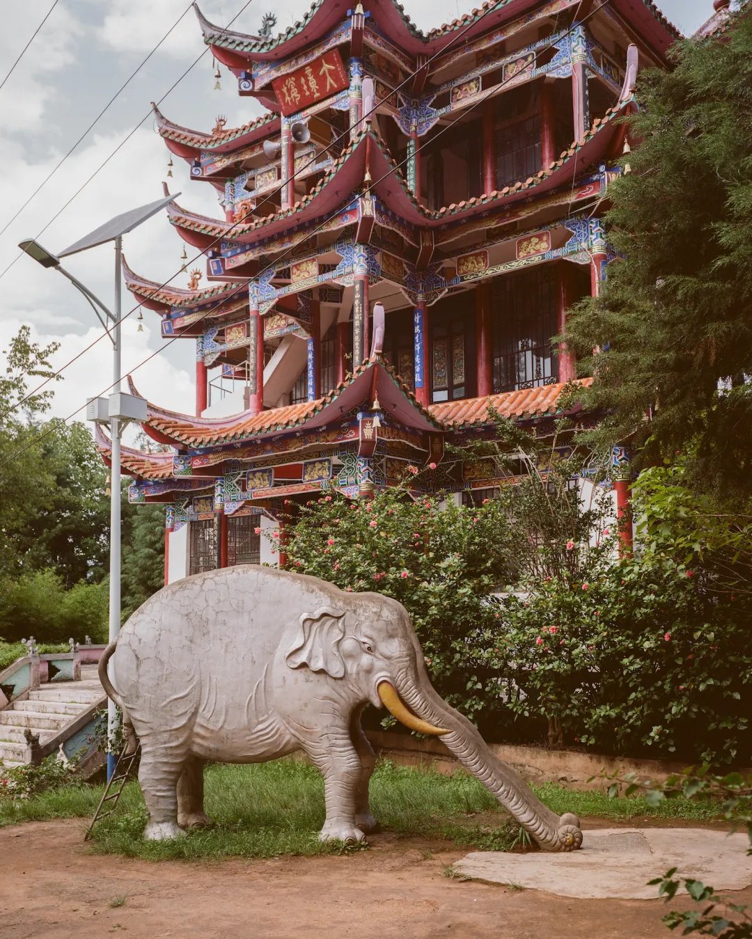 1772692715552063360.jpg 1772692715552063360.jpg