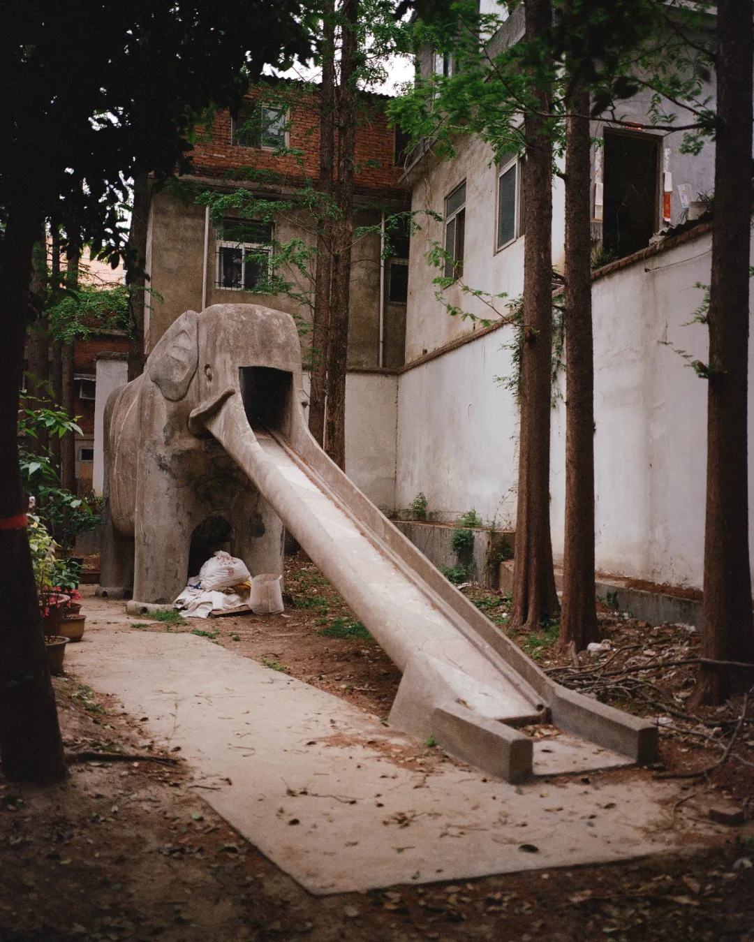 1772692765506080364.jpg 1772692765506080364.jpg