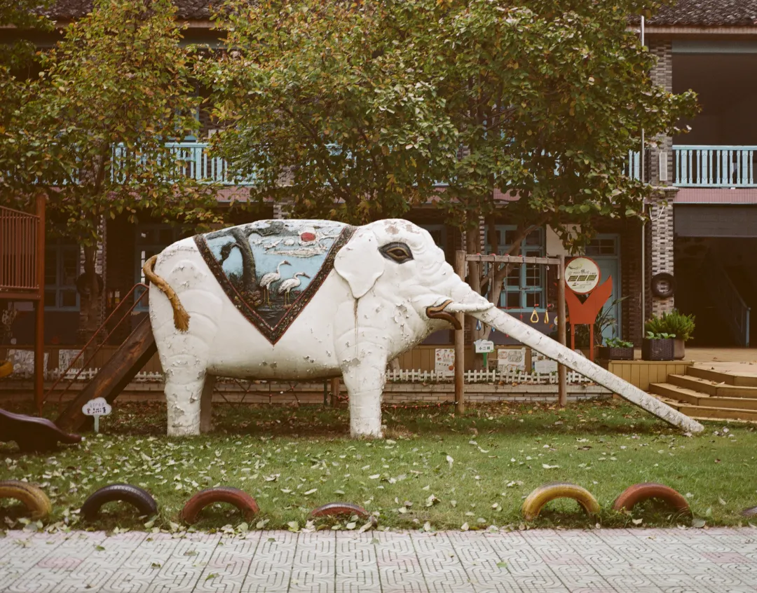 1772692812306051177.jpg 1772692812306051177.jpg