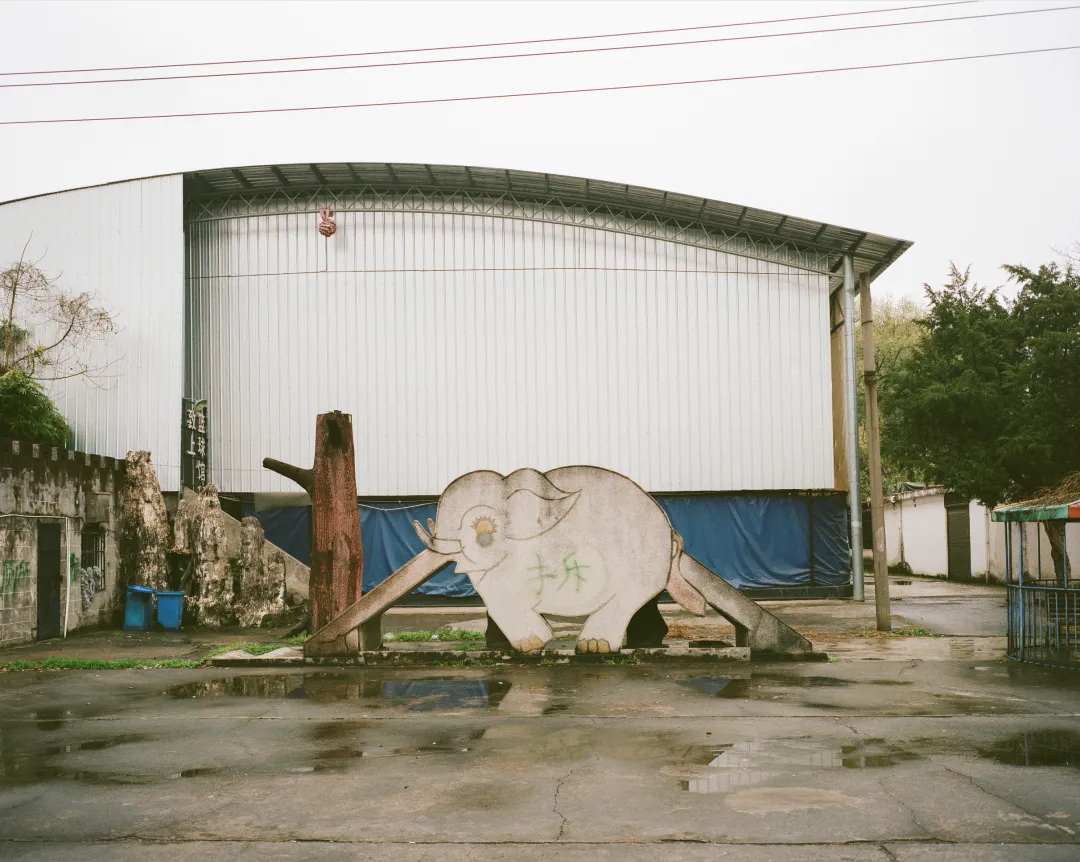 1772693108173026091.jpg 1772693108173026091.jpg