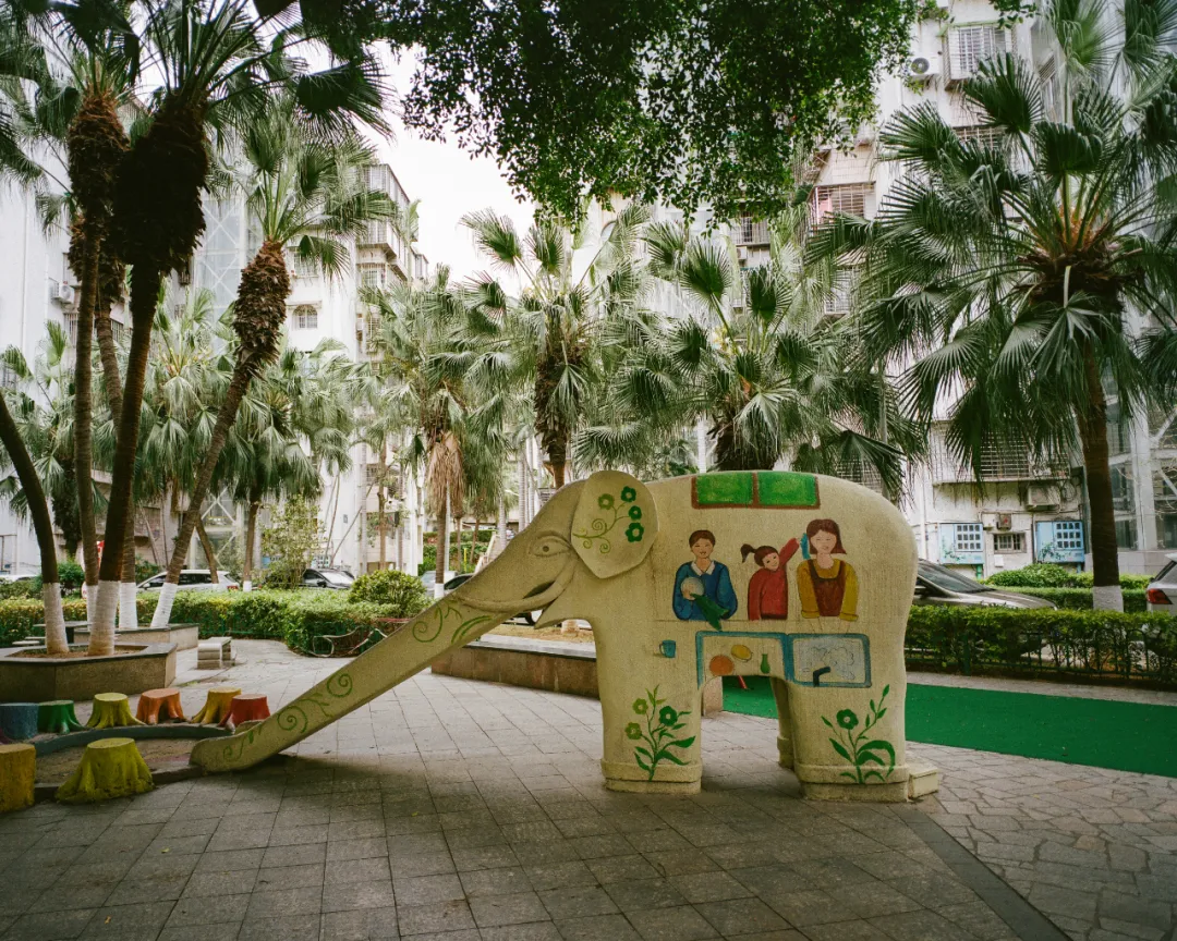 1772693128901022448.jpg 1772693128901022448.jpg