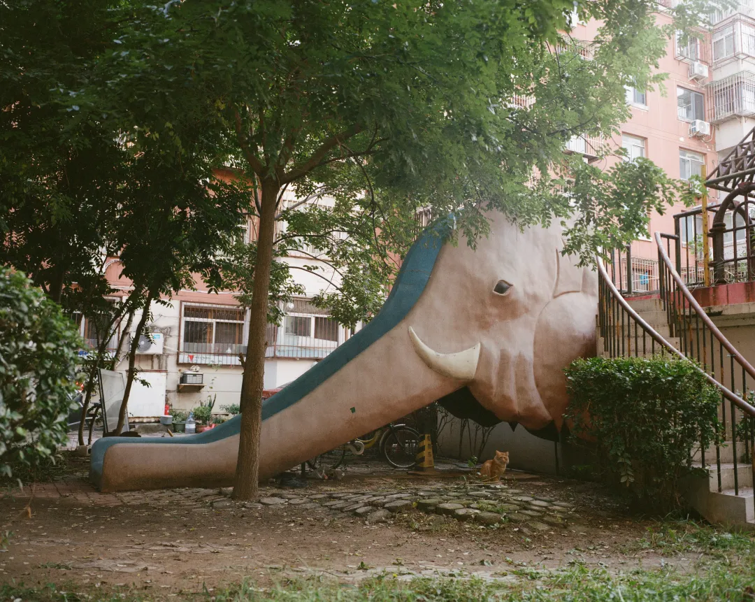 1772693150810012479.jpg 1772693150810012479.jpg