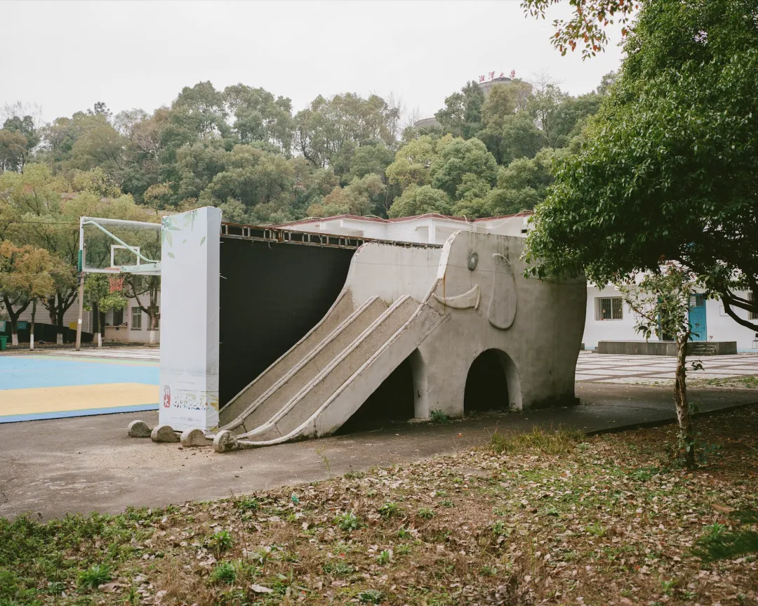 1772693255813078614.jpg 1772693255813078614.jpg