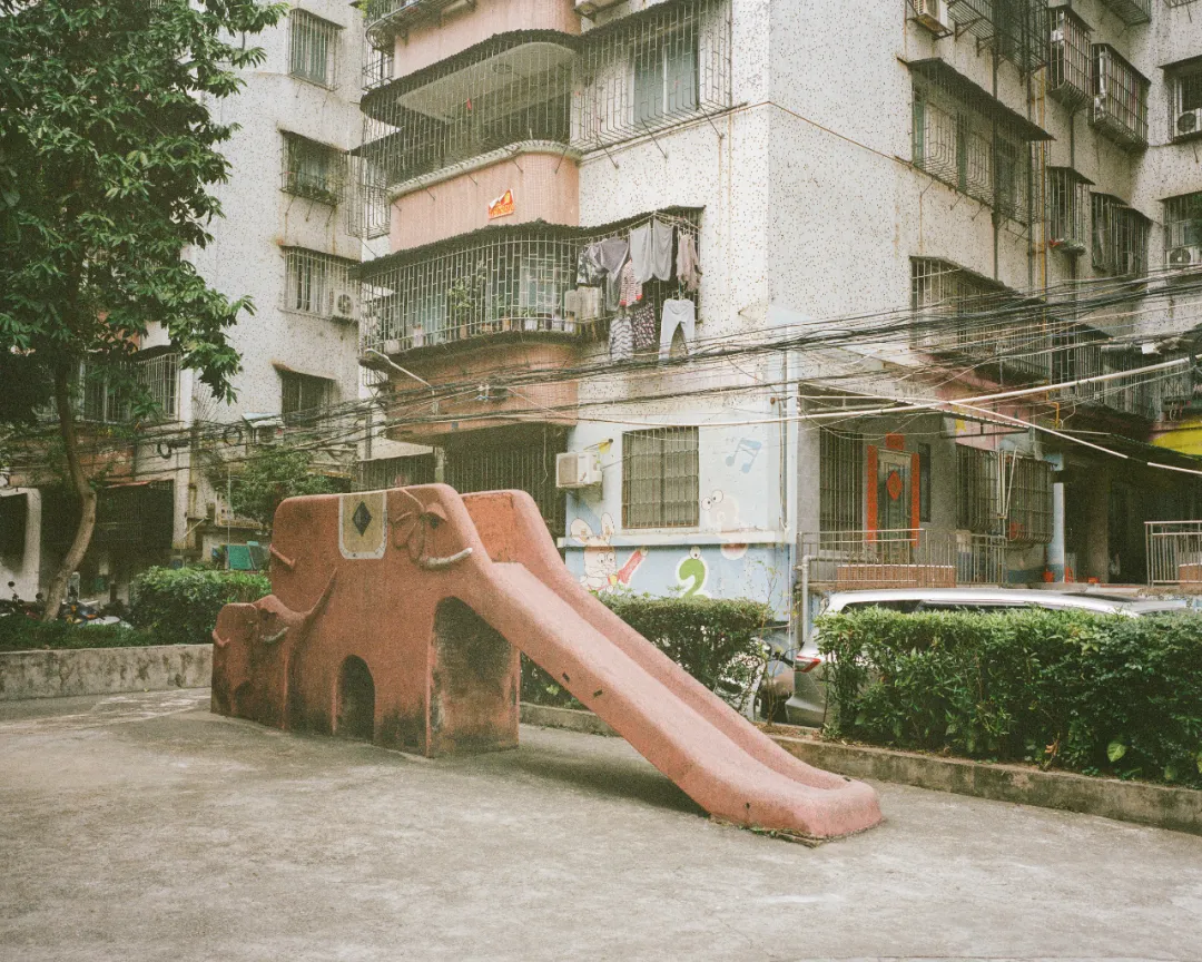 1772693319635040393.jpg 1772693319635040393.jpg