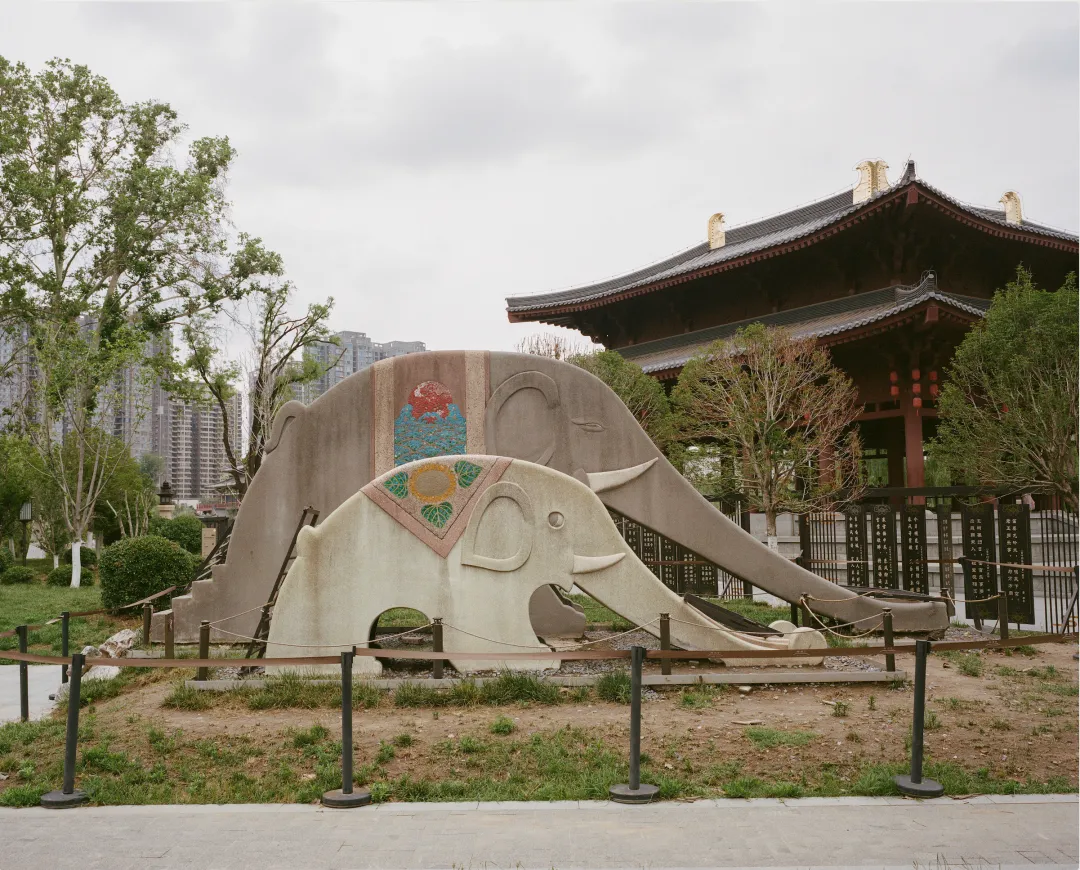 1772693406011058744.jpg 1772693406011058744.jpg